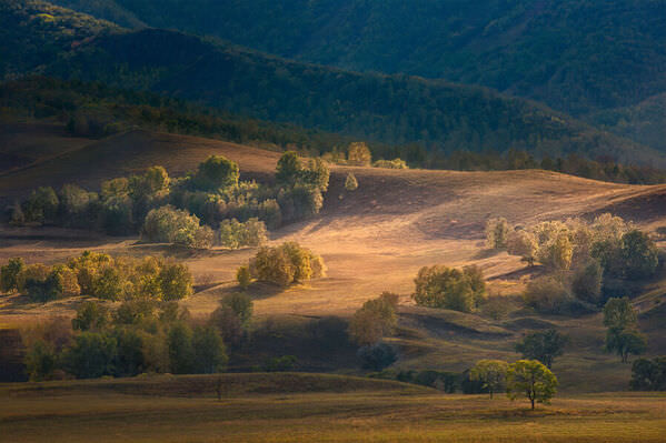 Photograph Stanley Loong Bashang Plateau on One Eyeland