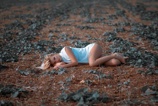 Photograph Katarina Sendzova Fog on One Eyeland