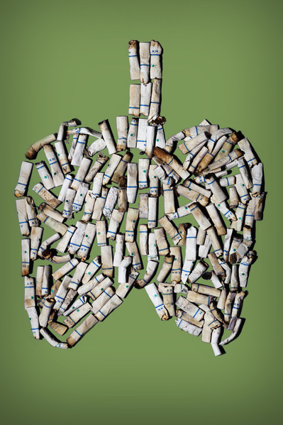 Photograph Bend Duarte Lungs on One Eyeland