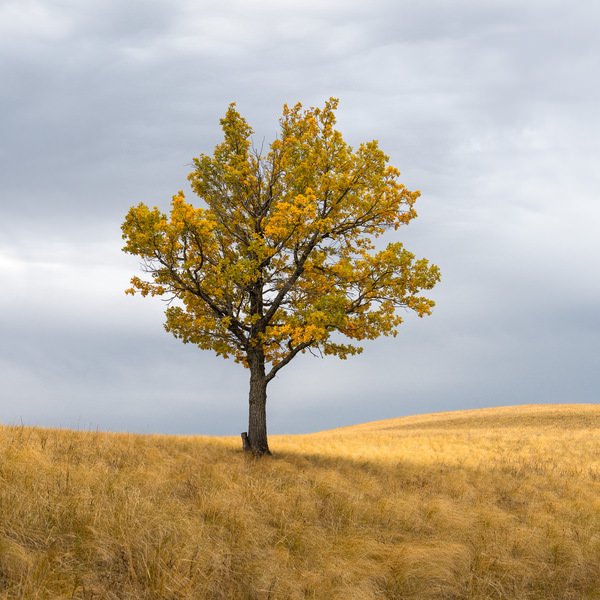 Photograph Evgeny Ivanov Colors Of Autumn on One Eyeland