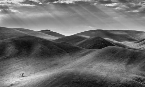 Photograph Evgeny Ivanov Alone on One Eyeland