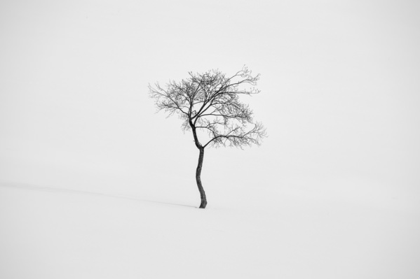 Photograph Tatiana Biriukova Little Dancer on One Eyeland