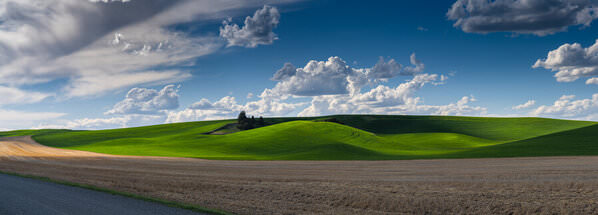 Photograph Joshua Smith Fields Of Green on One Eyeland