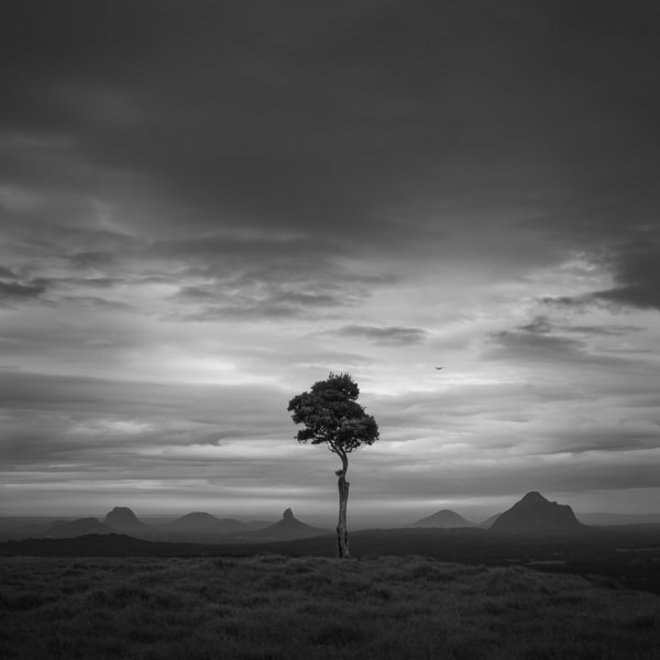 Photograph Paul Mcclenaghan One Tree Hill on One Eyeland