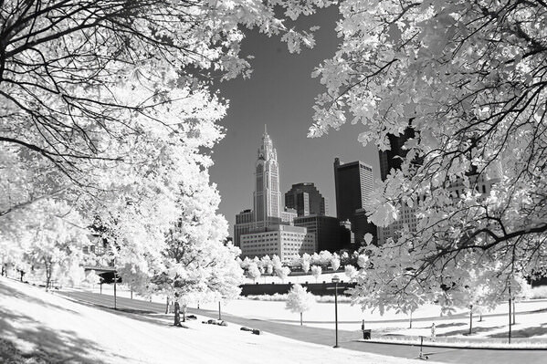 Photograph Larry Hamill Columbus Ohio on One Eyeland