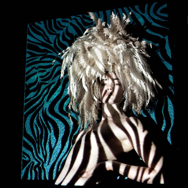 Photograph Mandy Hady Schulte A Zebra Does Not Change His Spots on One Eyeland
