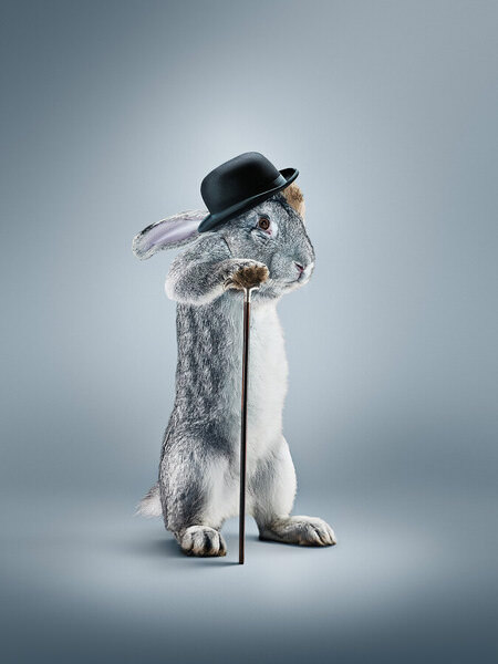 Photograph Lustre Photoproduction Bunny Charlie on One Eyeland