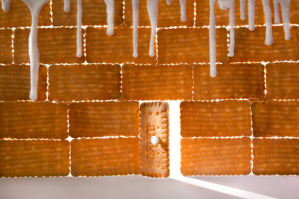 Photograph Elnaz Taassob Mother Biscuit on One Eyeland