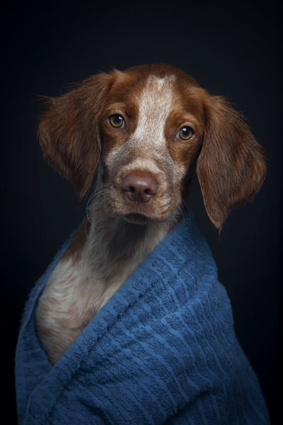 Photograph Alexandre Marques Kifu on One Eyeland