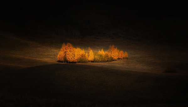 Photograph Tatiana Biriukova Autumn Grove on One Eyeland