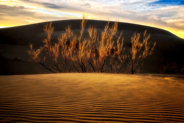 Photograph Mohammad Ataei Desert Gold on One Eyeland