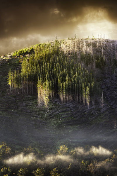 Photograph Graham Earnshaw An Awakening Glow on One Eyeland