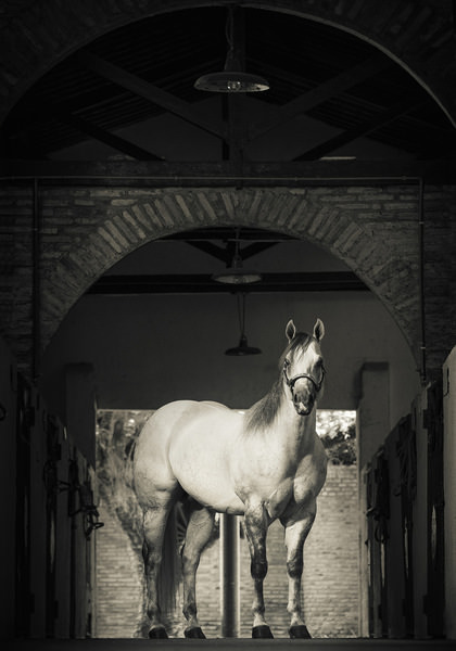 Photograph Tony Mendes Foundation on One Eyeland