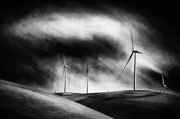 Photograph Gary E Karcz Pleading on One Eyeland