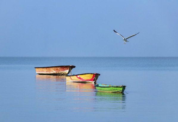 Photograph Maryam Khaleghizadeh Jonothon on One Eyeland