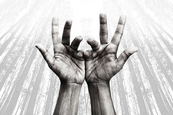 Photograph Maryam Khaleghizadeh Roshd on One Eyeland