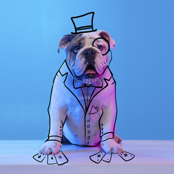 Photograph Lustre Photoproduction Dog Portrait on One Eyeland