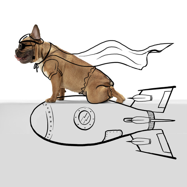 Photograph Lustre Photoproduction Dog Portrait on One Eyeland