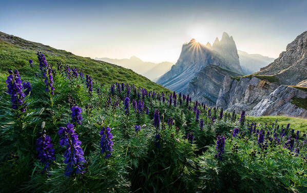Photograph Valentin Pfeifhofer Morning On Seceda on One Eyeland