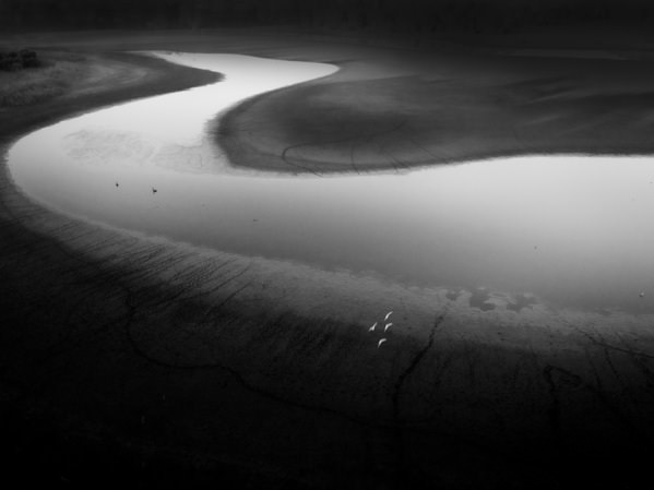 Photograph Graham Earnshaw Morning Flight on One Eyeland
