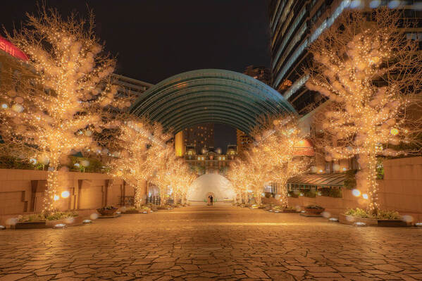 Photograph Setsuna Kurouzu Tokyo Night on One Eyeland