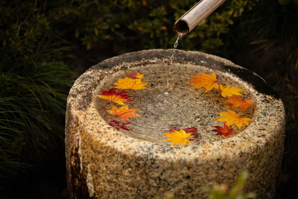 Photograph Setsuna Kurouzu Autumn In Japan on One Eyeland