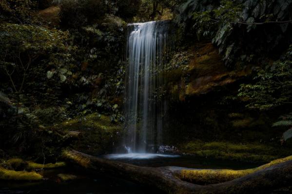 Photograph Stephan Romer Koropuku Falls on One Eyeland