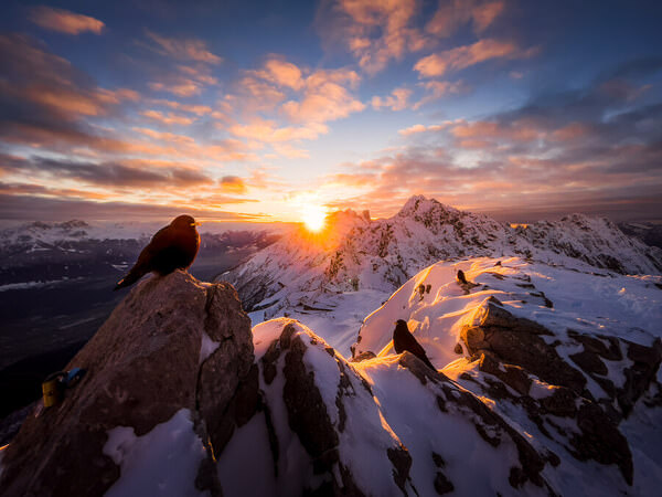 Photograph Marc Barthelemy Enjoying The Sunset on One Eyeland