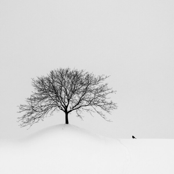 Photograph Renate Wasinger The Bird on One Eyeland