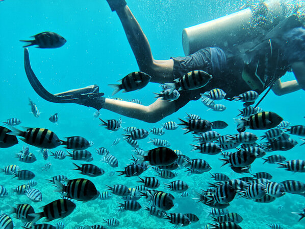 Photograph Pavel Pomoleyko Diver on One Eyeland