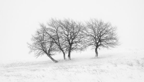 Photograph Evgeny Ivanov One After The Other on One Eyeland