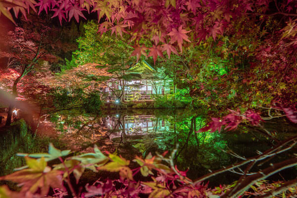 Photograph Takanori Anan Seasonal Changes on One Eyeland