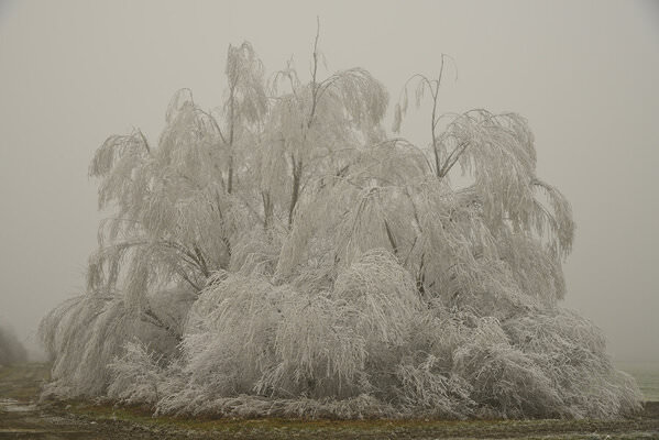 Photograph Ilija Stanusic Winter Days on One Eyeland