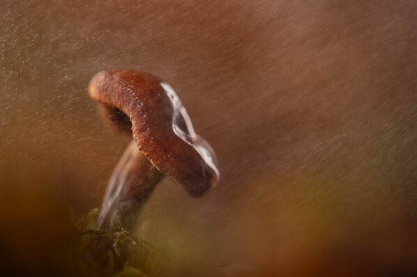Photograph Angi Wallace The Storm on One Eyeland