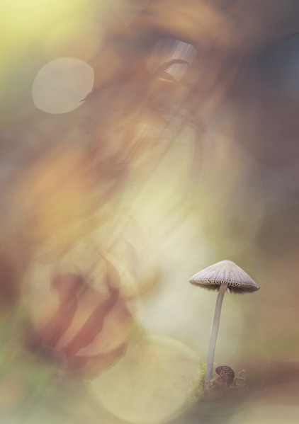 Photograph Angi Wallace Alone on One Eyeland