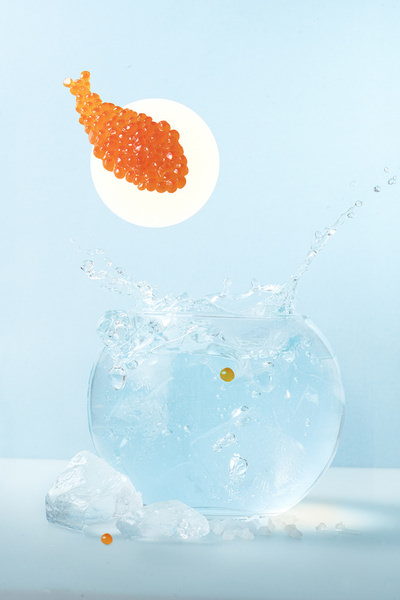 Photograph David Fedulov Fresh Caviar on One Eyeland