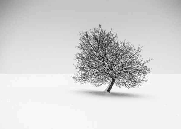 Photograph Renate Wasinger Calmness on One Eyeland