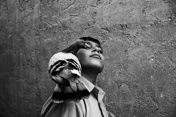 Photograph Masuomeh Asakereh Ghasem on One Eyeland