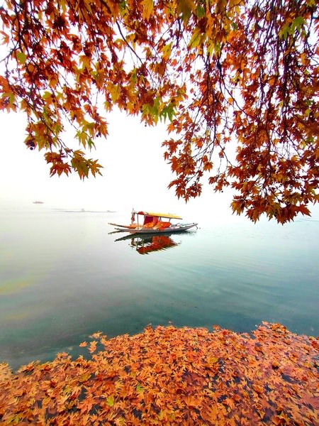 Photograph Murtaza Ali Autumn In Kashmir on One Eyeland