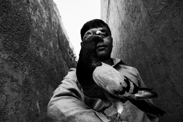 Photograph Masuomeh Asakereh Ghasem on One Eyeland