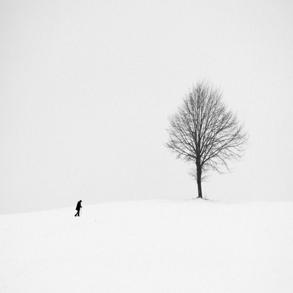 Photograph Renate Wasinger Winter Tale on One Eyeland