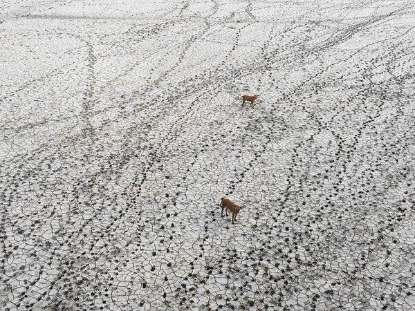 Photograph Shishir Desai Salty Land on One Eyeland