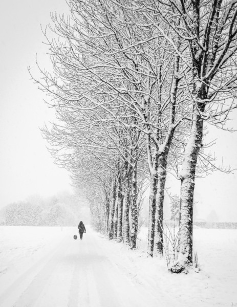 Photograph Renate Wasinger Winter Walk on One Eyeland