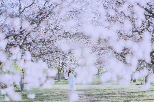Photograph Hiromichi Shimizu Spring Day on One Eyeland