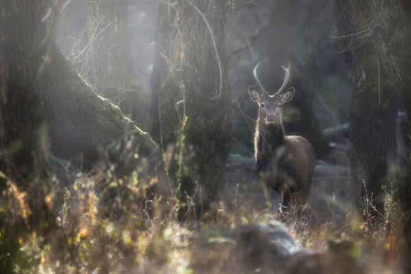 Photograph Stefano Caccia Slow Breathing on One Eyeland