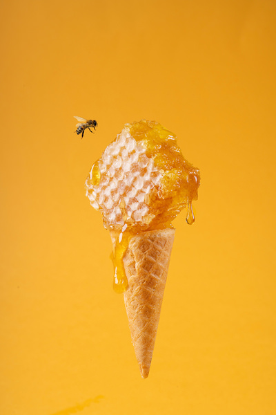 Photograph David Fedulov Honey And Bee on One Eyeland