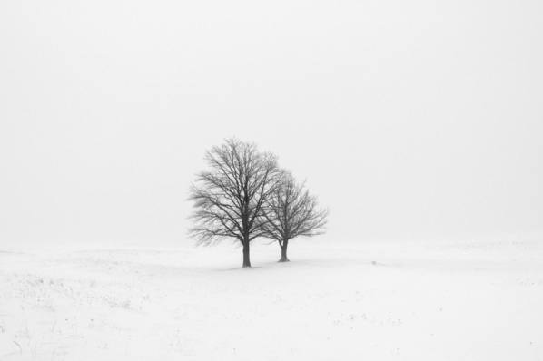Photograph Evgeny Ivanov Unfulfilled Hopes on One Eyeland