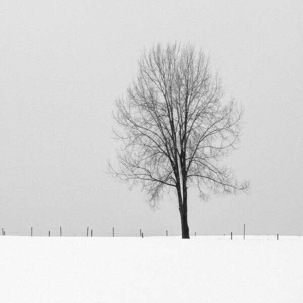Photograph Renate Wasinger Silence on One Eyeland