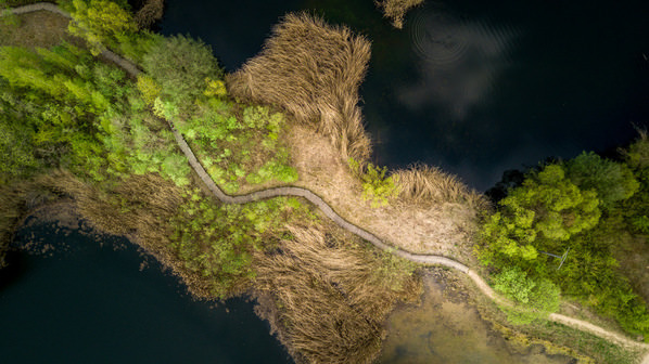 Photograph Marc Barthelemy The Path on One Eyeland