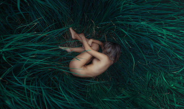 Photograph Pavel Mylnikov The Green Veil Of Loneliness on One Eyeland
